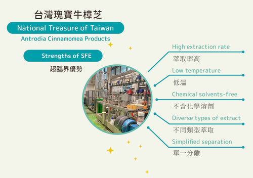台灣瑰寶   極品牛樟芝滴丸（舌下錠）