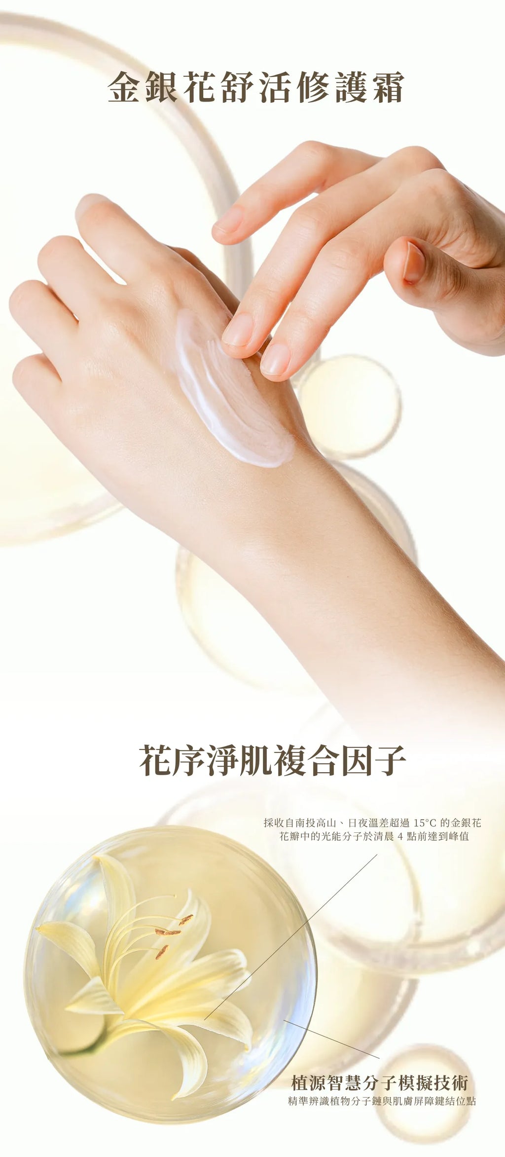 金銀花舒活修護霜