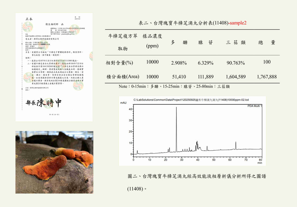 台灣瑰寶   極品牛樟芝滴丸（舌下錠）